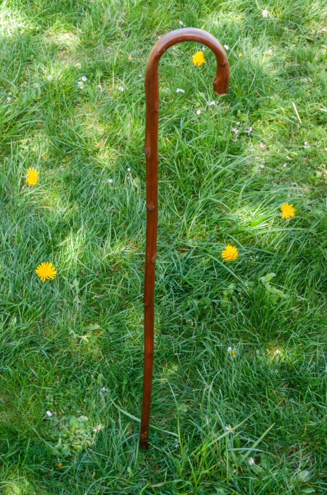 Bild 1 von Wanderstock / Gehstock für Kinder und Erwachsene  / (Länge) 80 - 85 cm
