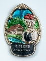 Stocknagel - Titisee / Schwarzwald