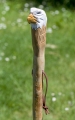 Bild 3 von Adler Wanderstock für Erwachsene / Geschnitzte Unikate mit Stockspitze